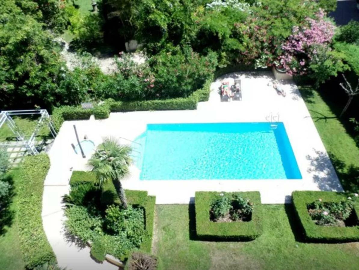 Lux Our Swimming Pool And Garden * Cannes